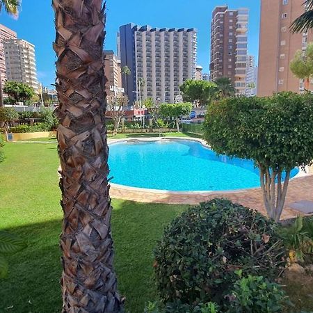 Adelfas - Fincas Arena Benidorm Exterior foto